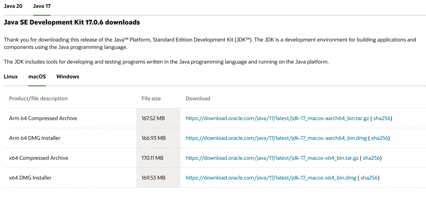 Screenshot der Java Downloads