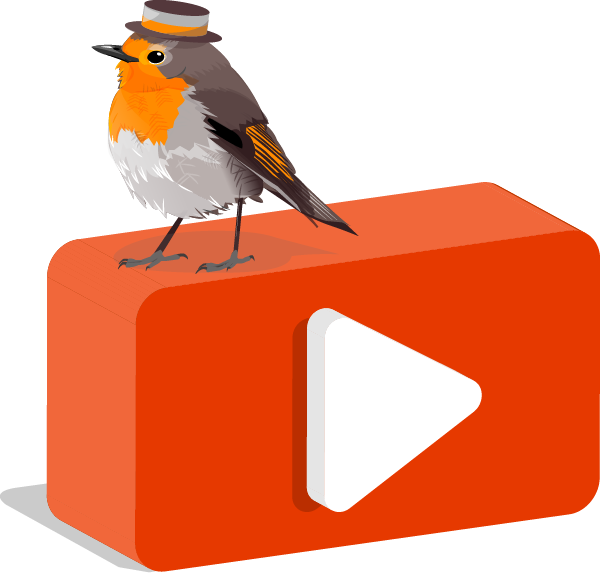 Illustration of Youtube Logo with CashCtrl bird