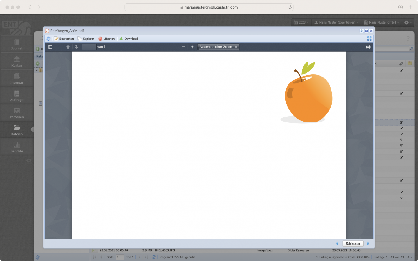 Screenshot der Vorschauansicht einer Datei im Dateimanager von CashCtrl