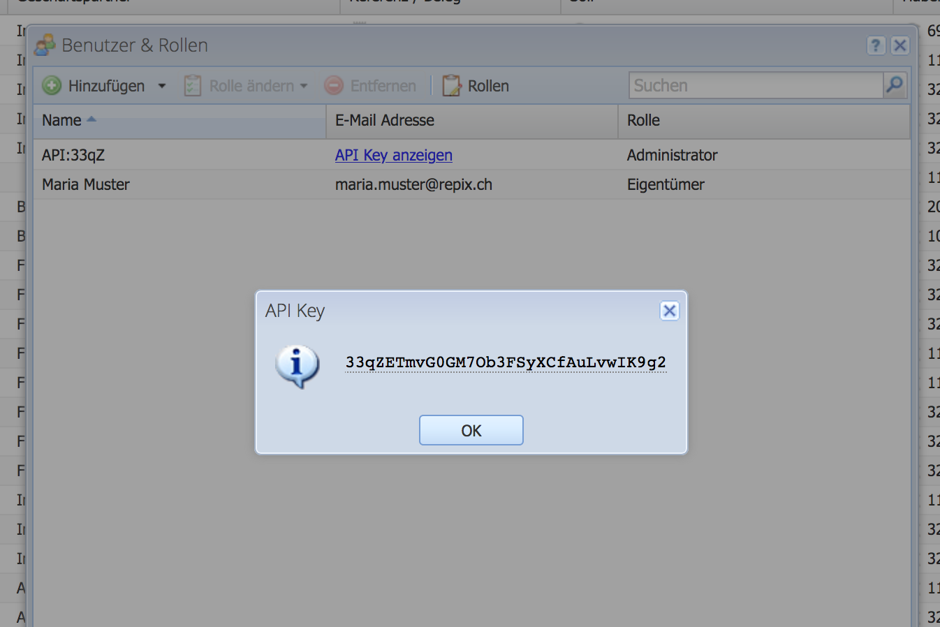 So wird der API Key abgelesen
