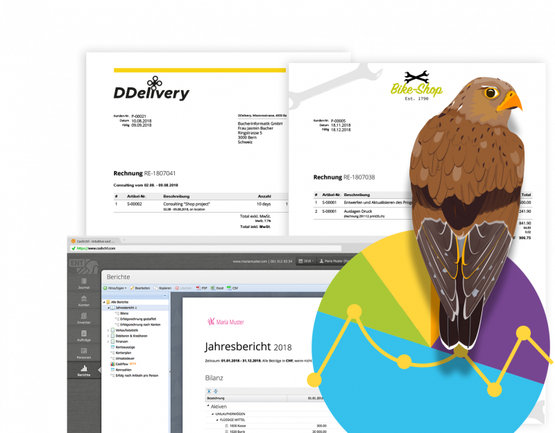 Illustration von Berichten aus CashCtrl