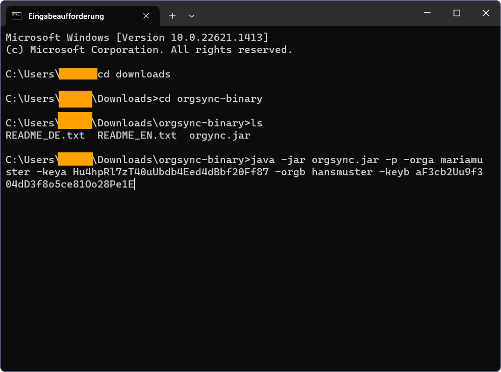 Screenshot des Windows Terminals mit dem Befehl zum Ausf&uuml;hren des Orgsync Scripts