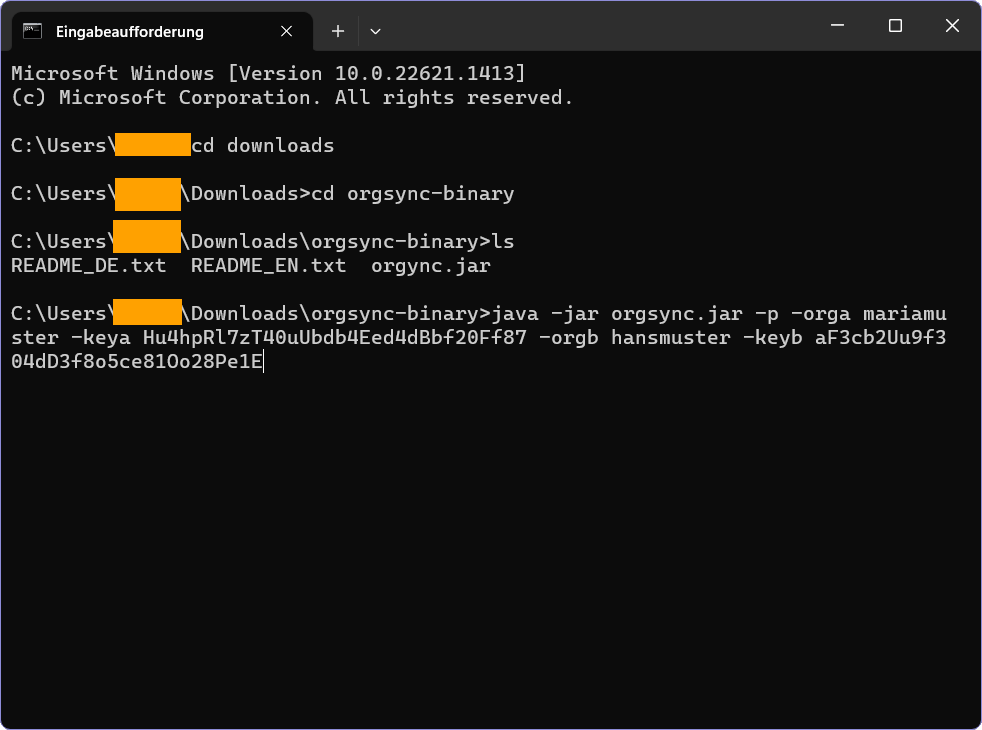 Screenshot of the Windows terminal with the command to run the Orgsync script